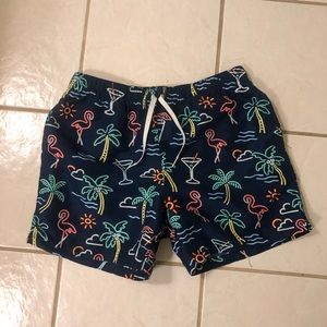 Men’s Chubbies Swim Trunks